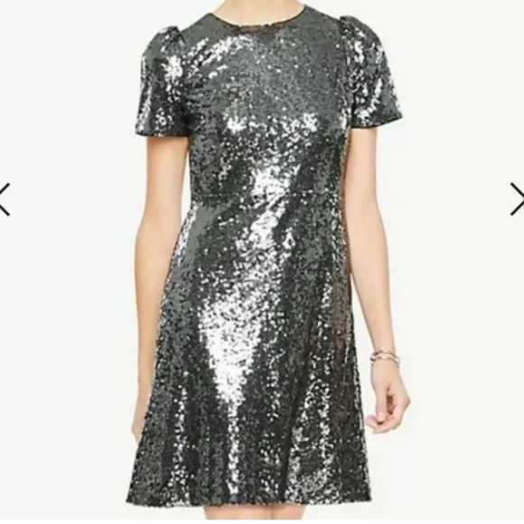 Ann Taylor sequin dress - Picture 3 of 7